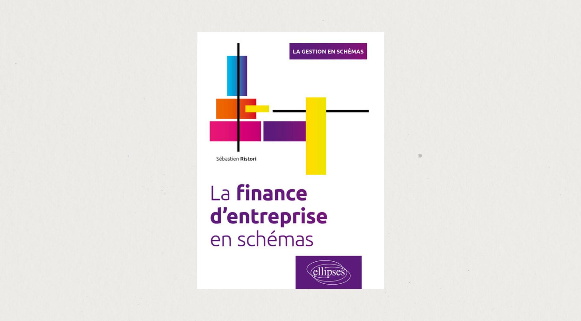 Illustration de l'article La finance d’entreprise en schémas